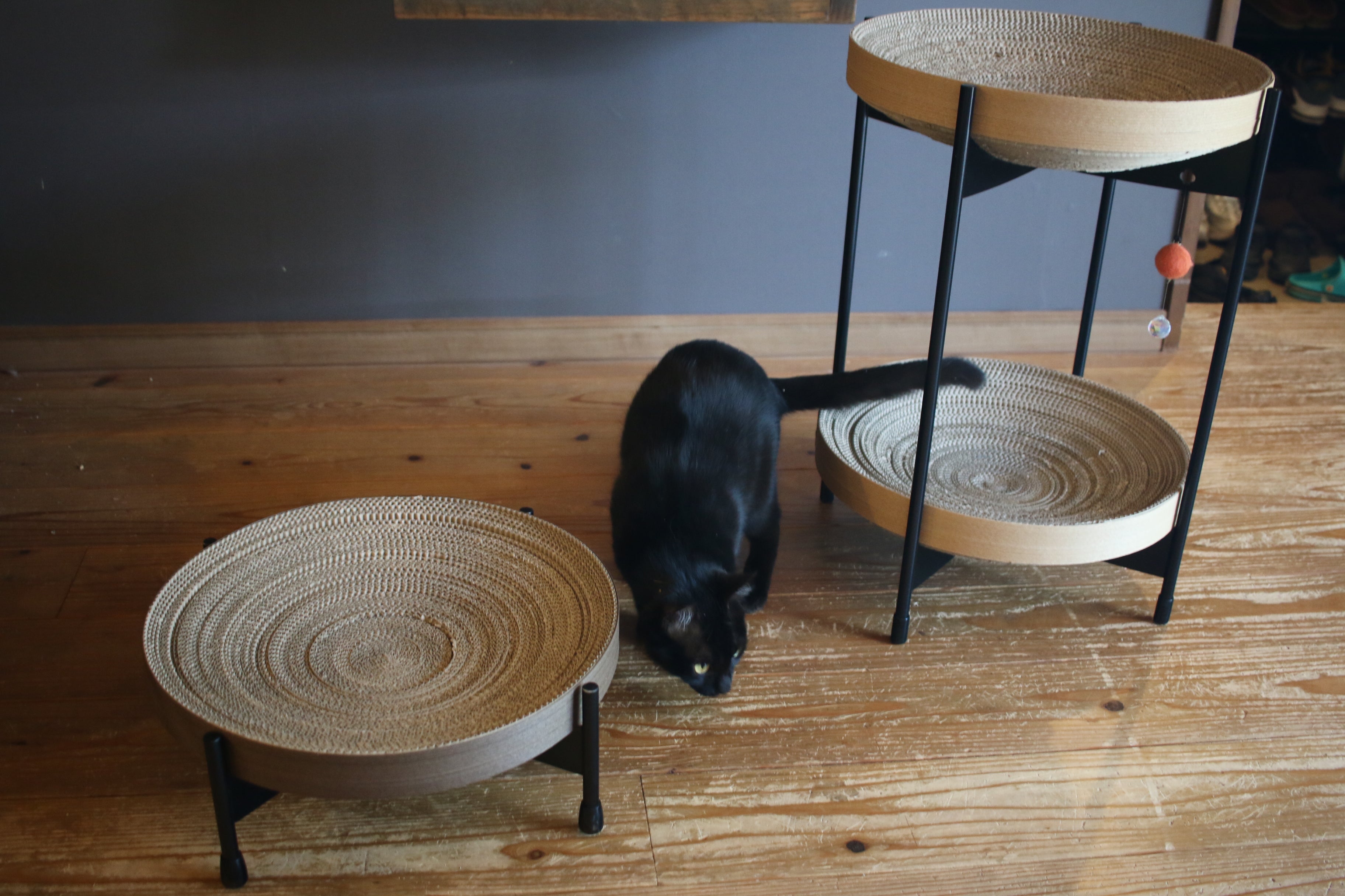 猫ちゃんが登ってくれない？｜キャットタワーを使ってくれない時の対処法3選