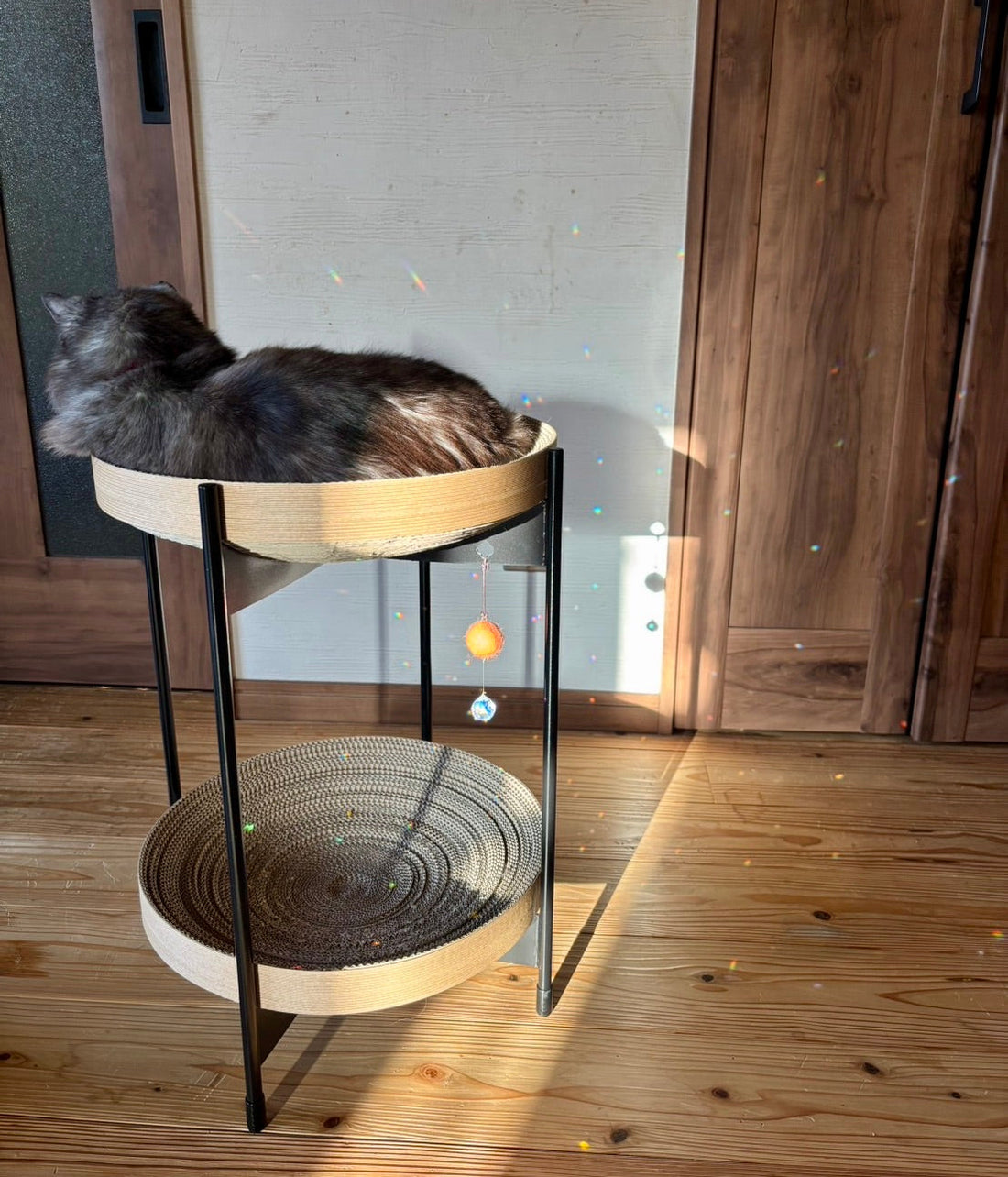 猫と暮らす家のアイアン家具｜猫ちゃんが喜ぶ、おしゃれなキャットタワーの選び方