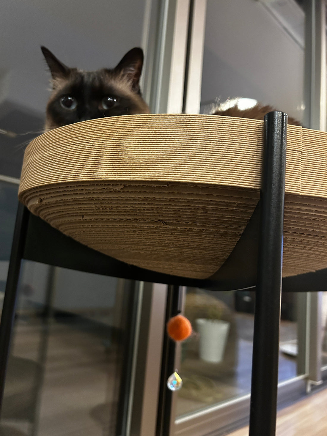 アイアンを使用した猫家具という選択