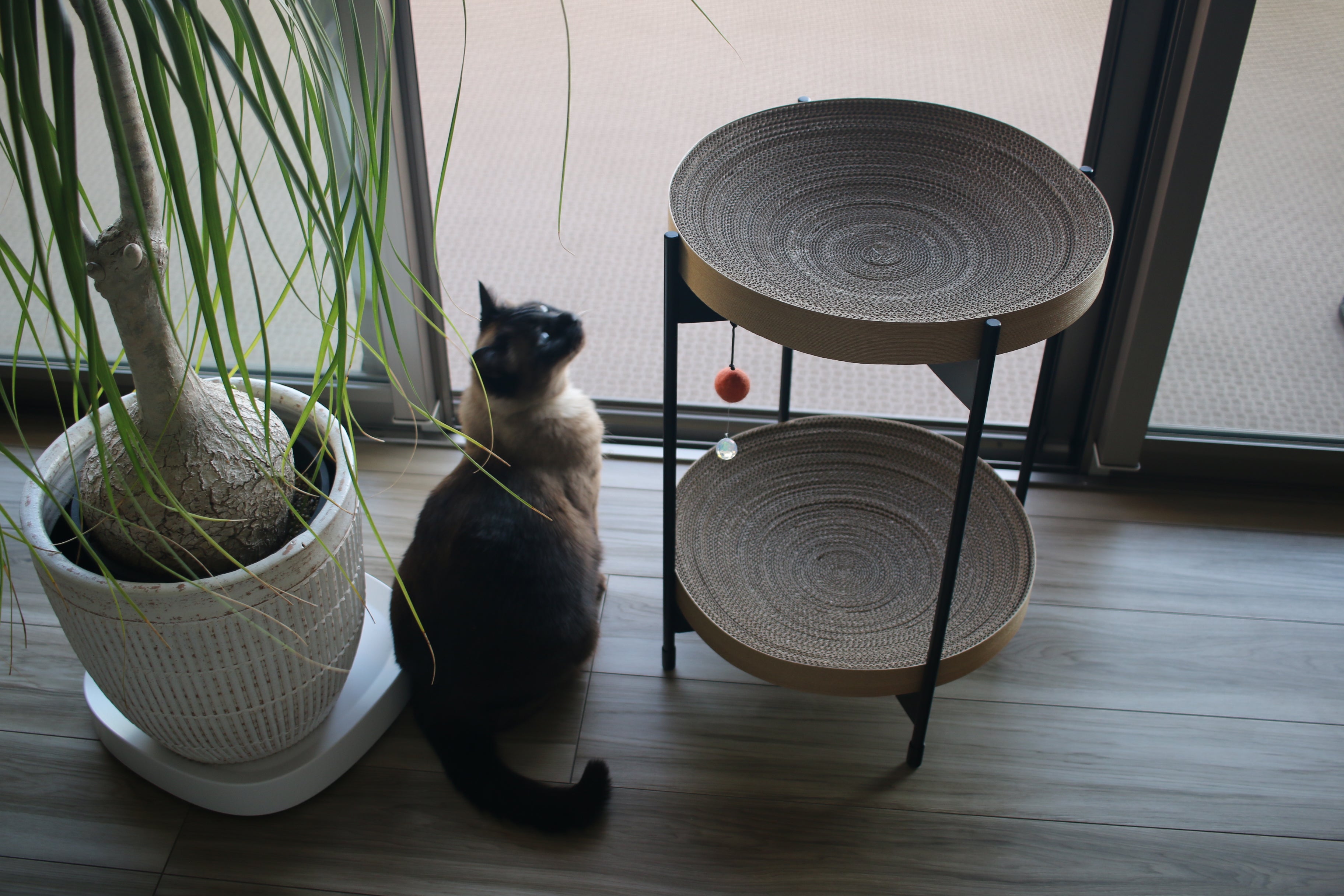 ひだまりボウル