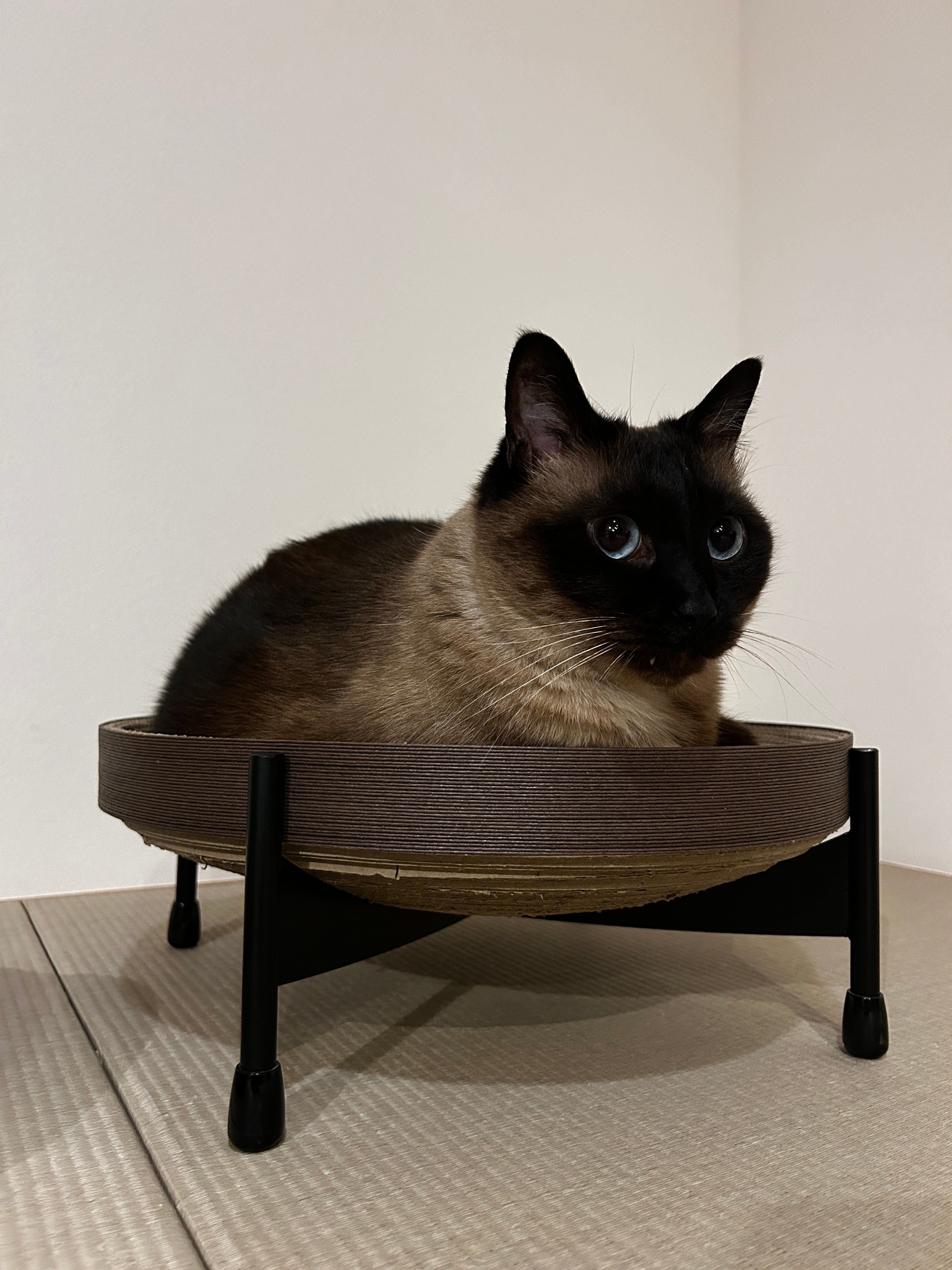 ひだまりボウル シングルタイプ